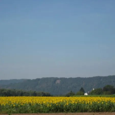 Zum Stern Hotel Schweich