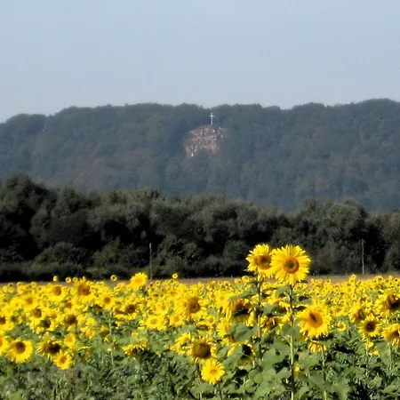 Hotel Zum Stern Hotel