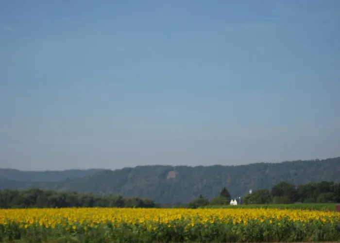 Zum Stern Szálloda Schweich