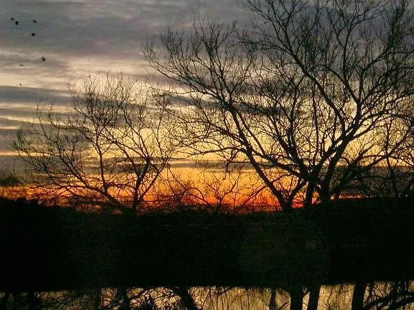 Hotel Zum Stern Schweich